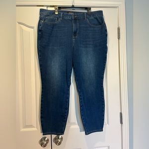 Judy Blue Plus size Jeans, Size 22, Boyfriend